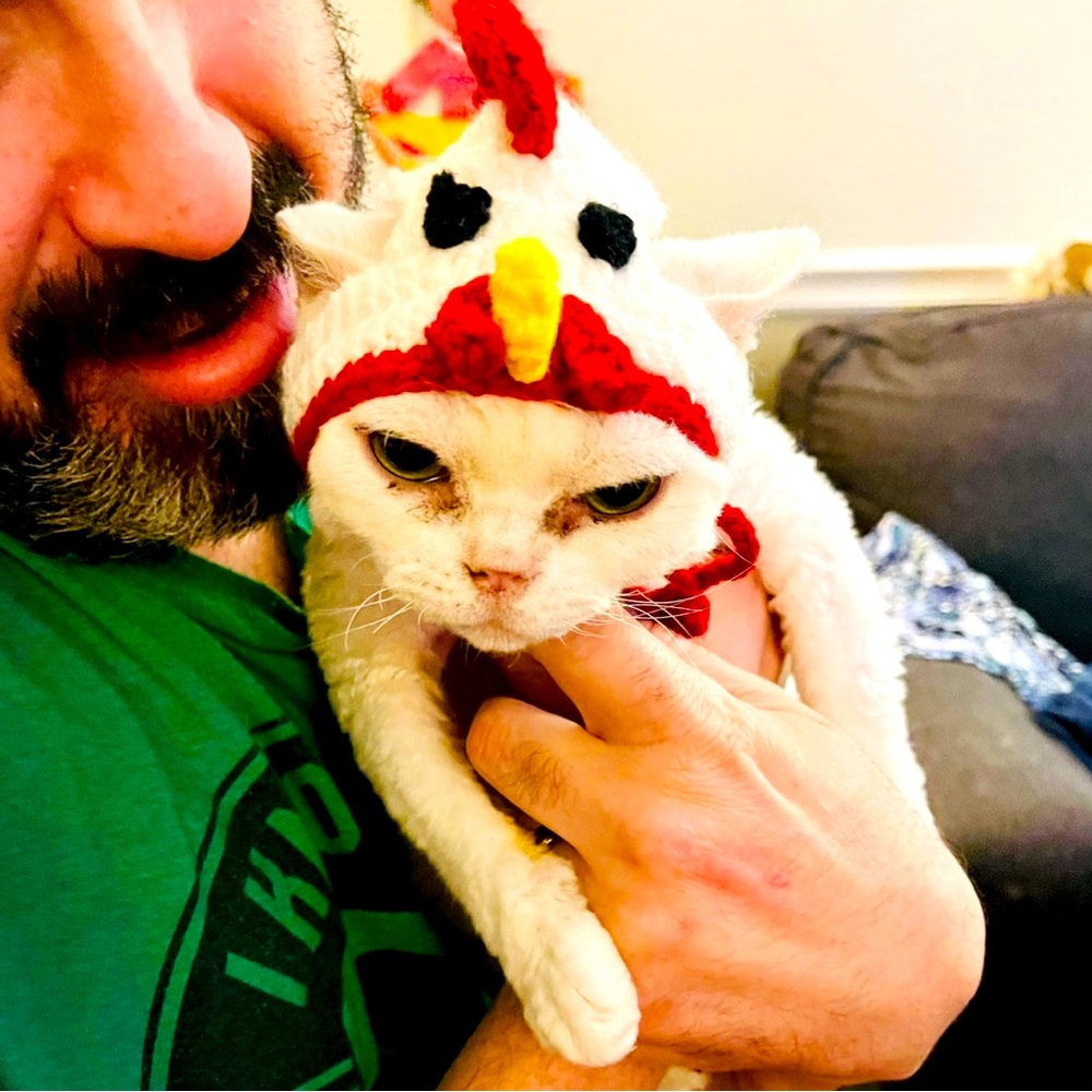 ‼️Its a Bird‼️Its a Plane‼️Its Chicken Kitty‼️Hand Knit Hat for Cats/Dogs